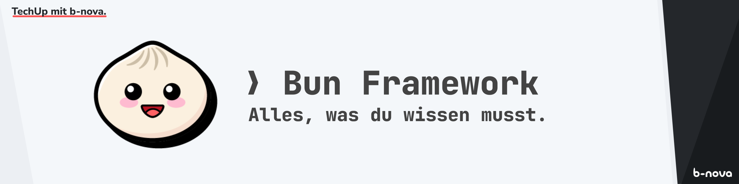 JavaScript Development on Turbo: A Look at Bun and its Innovations | b-nova